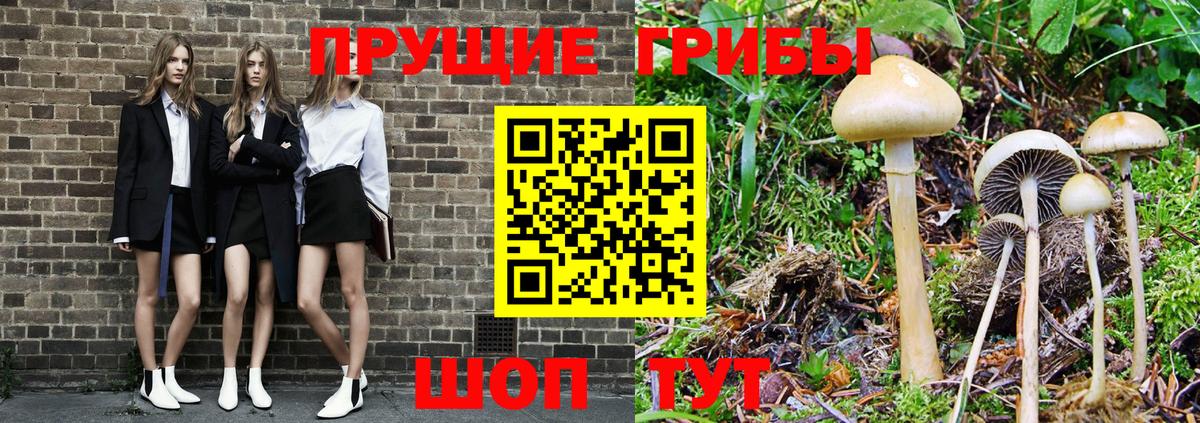 Галлюциногенные грибы прущие грибы  Вход с VPN  Надым 